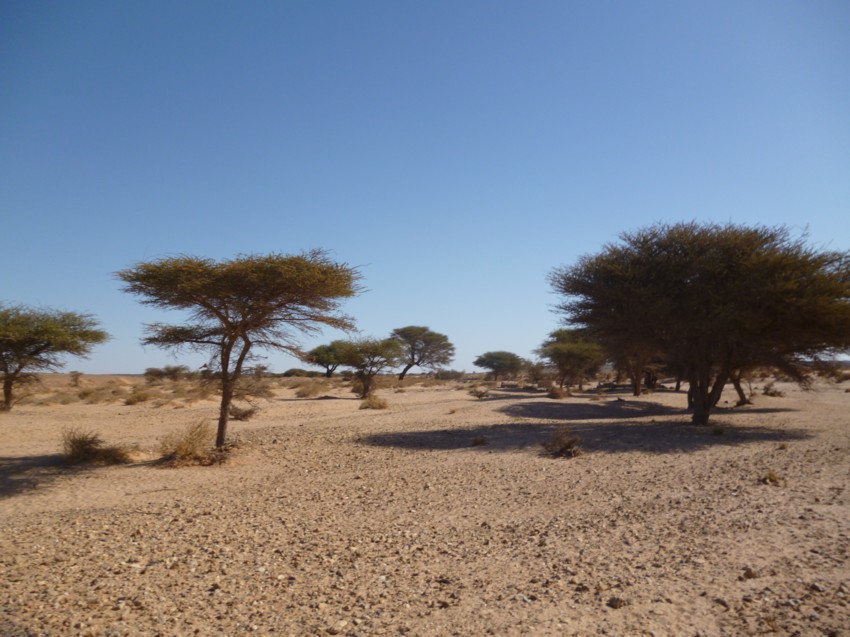 Le Grand Sud du Maroc - II 233452085