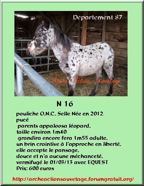 N *.16.*18.19.* en urgence dept 87 2343933716