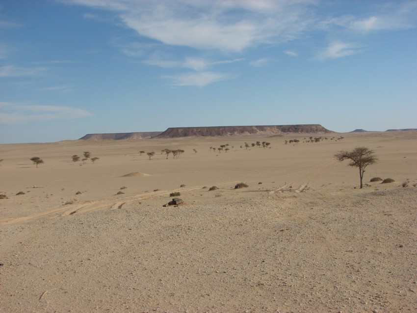 Le Grand Sud du Maroc - II 235687053