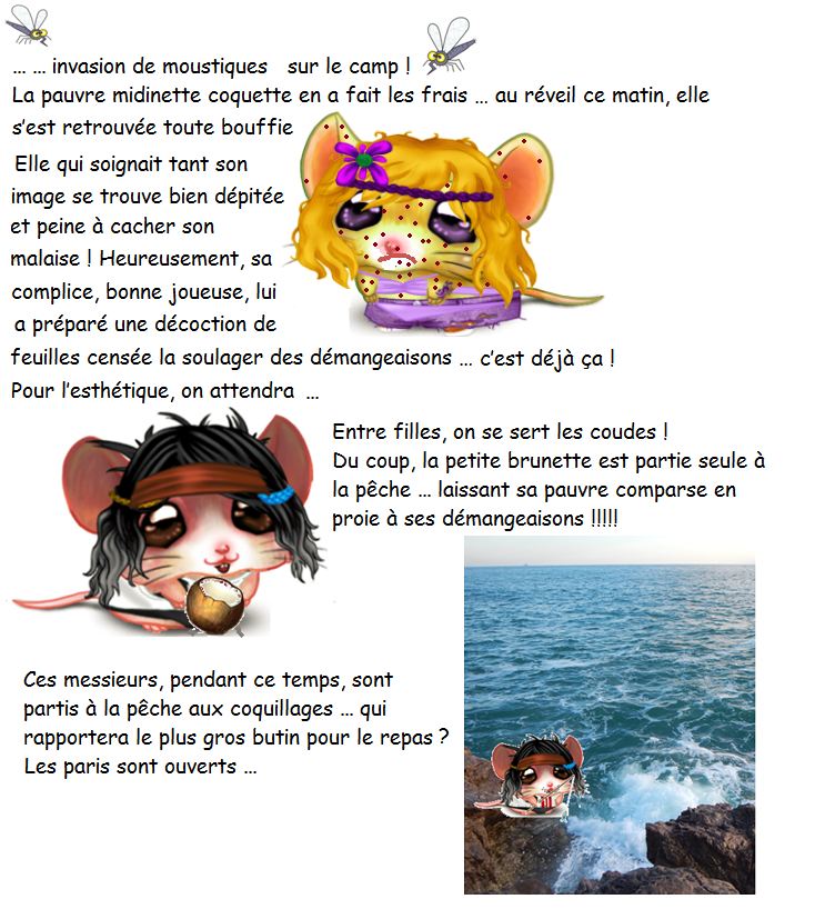 Concours : modalités d'organisation - Page 3 236528Sanstitrettttt