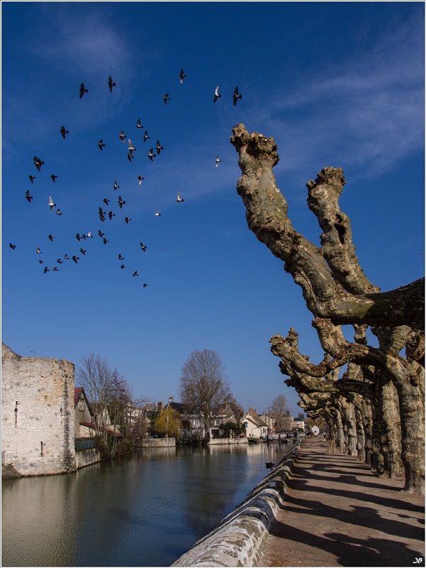 La Venise du Gatinais: les pieds dans l'eau 236941LR4P3040085