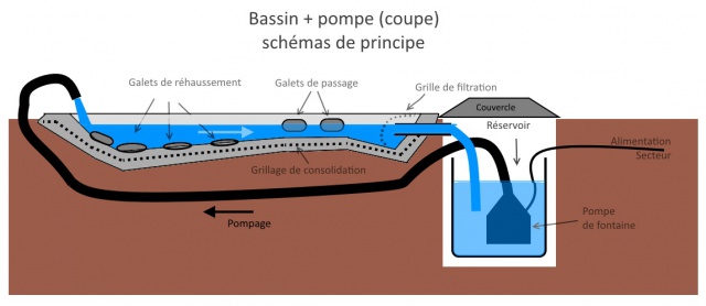 parc enclos - Page 2 240391bassin