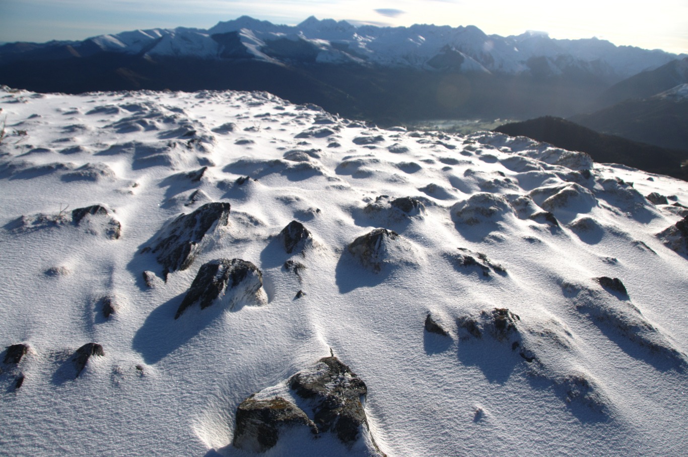 Une vie pyrénéenne de labrit des pyrénées - Page 9 243347cau0229