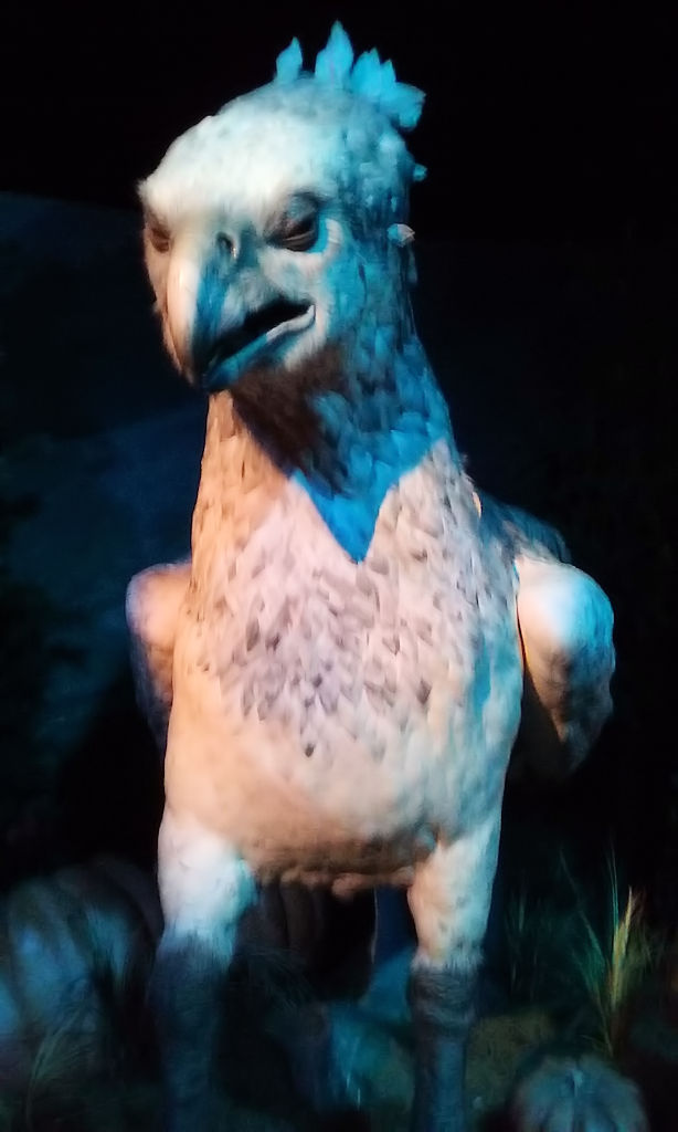 Exposition Harry Potter à Paris  2474172313