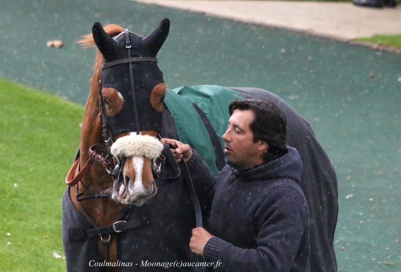 Photos Auteuil 30-04-2016 2474815J6A0320