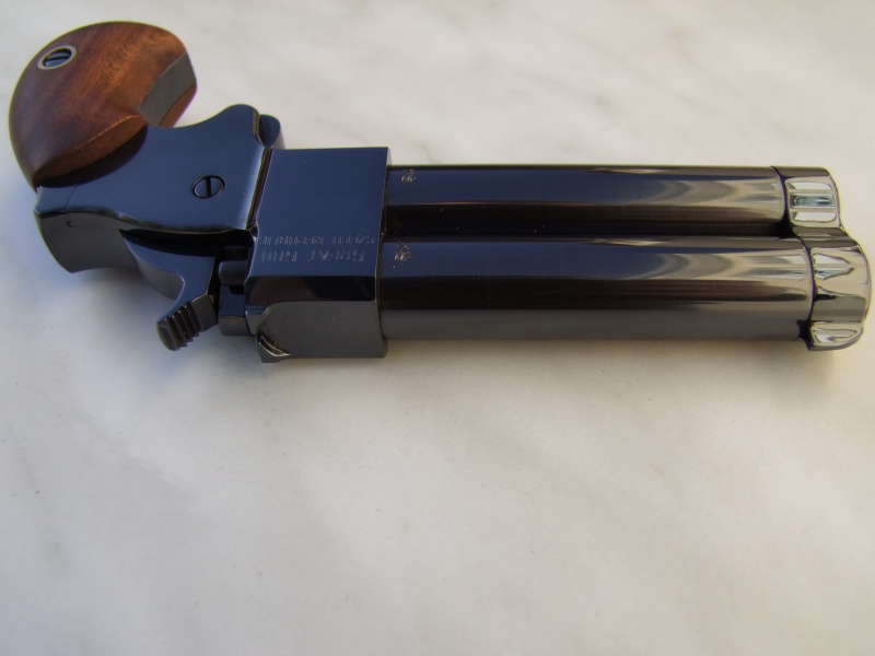 Double Derringer 45 PN Great Gun Dimini 248168DSCF2579