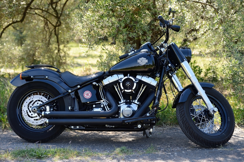 SOFTAIL SLIM... les accros de la Slim attitude !! - Page 16 249534D4E4767b