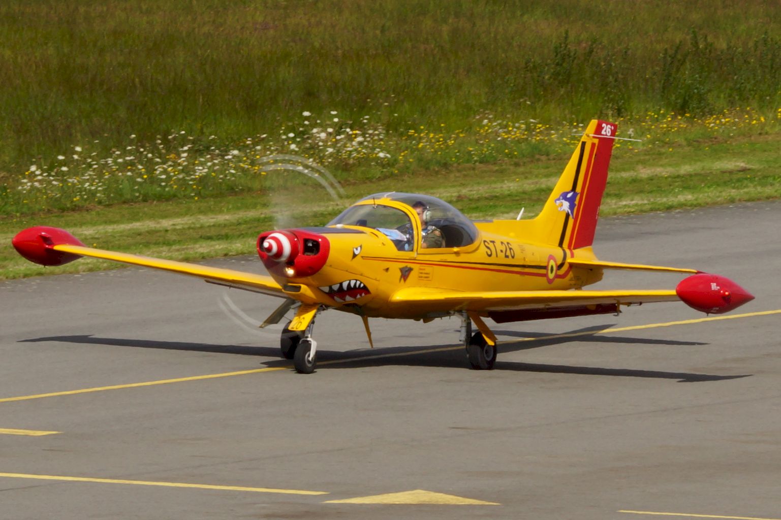 Dinard - Pleurtuit - Saint-Malo LFRD / DNR : Septembre 2015   250126DSC09894resultat