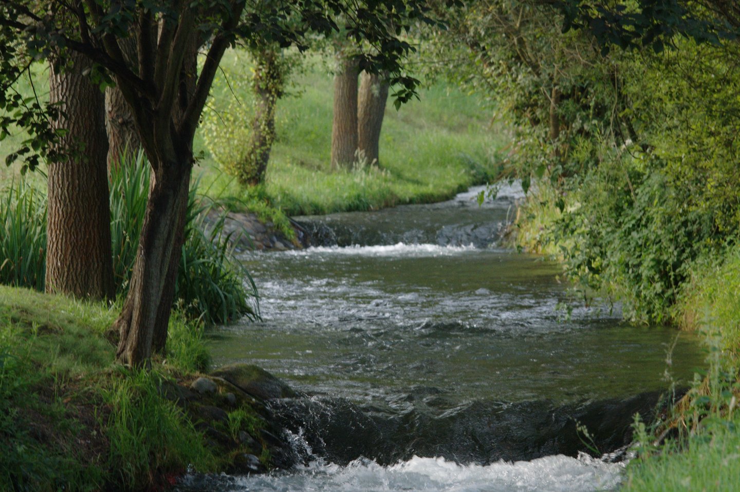 Une vie pyrénéenne de labrit des pyrénées - Page 14 251340lac0115