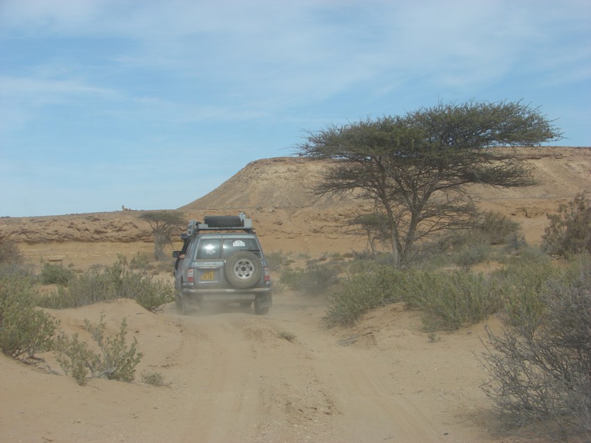 Le Grand Sud du Maroc - II 251570047