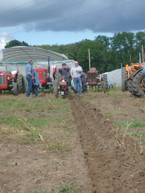 VIARMES 2015 CONCOURS DE LABOUR AUX MOTOCULTEURS - Page 4 251681conc10