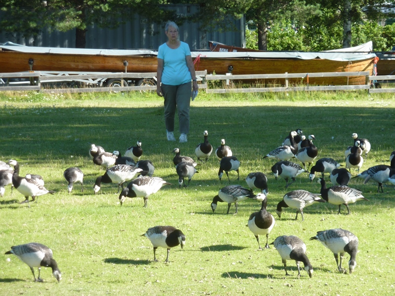 GRAND TOUR DE LA SCANDINAVIE EN 60 JOURS ET 12000 KMS FINLANDE 251841P1130343