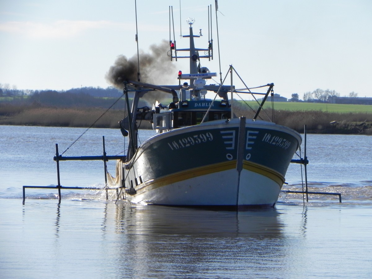 [VIE DES PORTS] Quelques bateaux de pêche (sur nos côtes Françaises) - Page 20 253348BateaupechesurCharente10