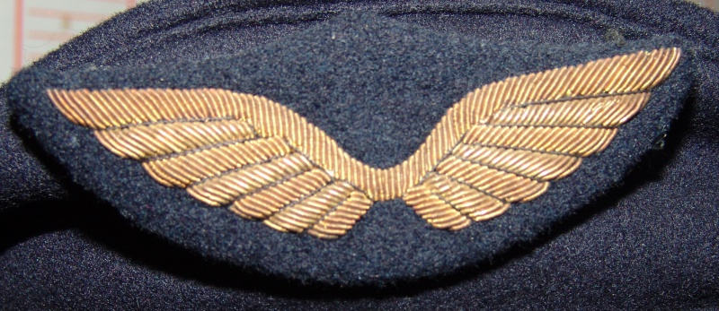 Insigne de casquette armée de l'air 253697DSC08968