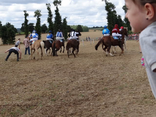 courses de poneys en bretagne 257991DSC00434