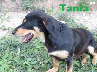 Tania, petite taille, très sociable 258954IMG9013