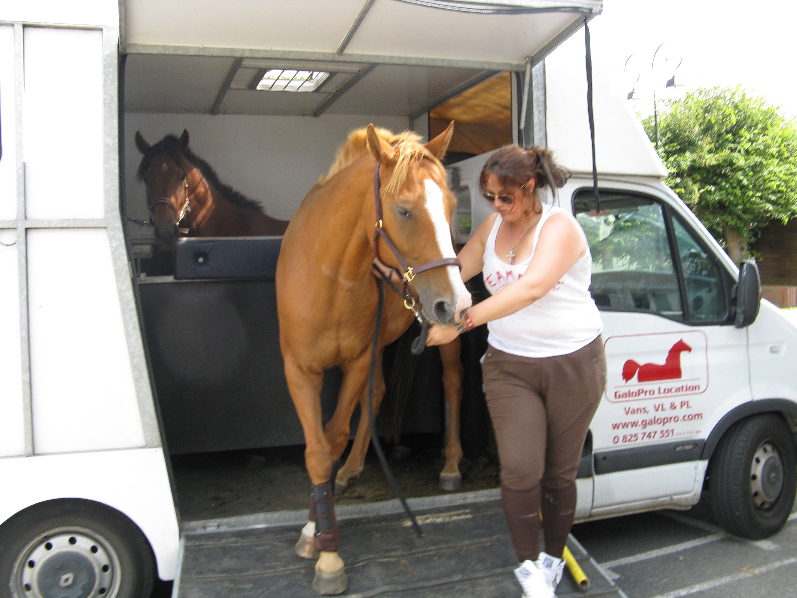 Valorous de l'Espoir adopté chez Amandine ! - Page 6 261640869