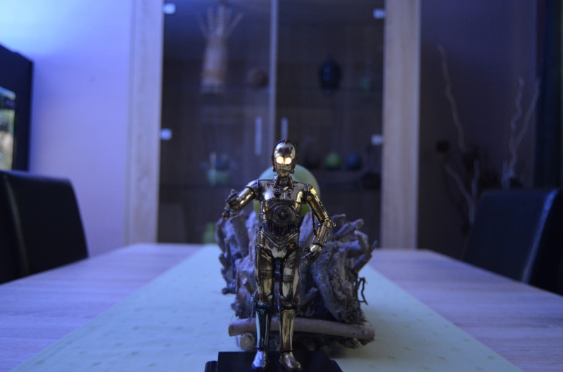 C-3PO de Bandai  271933DSC0002