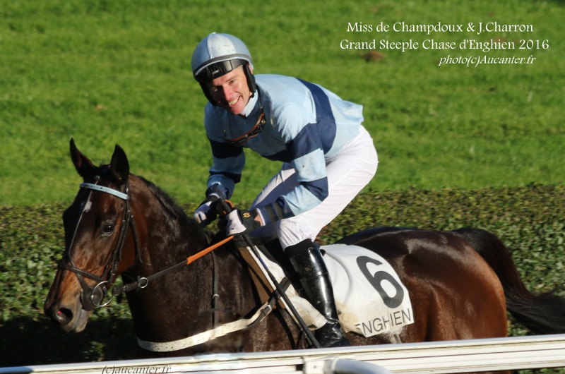 Grand Steeple-Chase d'Enghien 2016 (St., Gr.II, Enghien) 22-10 : Miss de Champdoux 2731705J6A9561