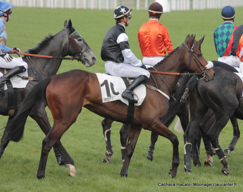 Photos Auteuil 27-03-2016 - Page 2 275328IMG9307
