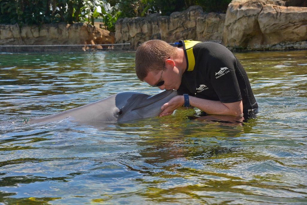 Une lune de miel à Orlando, septembre/octobre 2015 [WDW - Universal Resort - Seaworld Resort] - Page 9 2756698540405093015195797