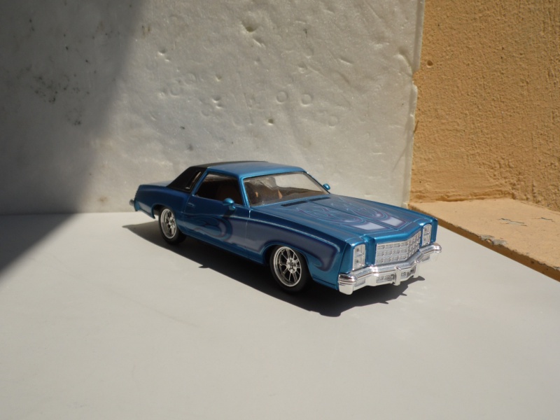 Chevy Monte-carlo'77 282664SAM7170