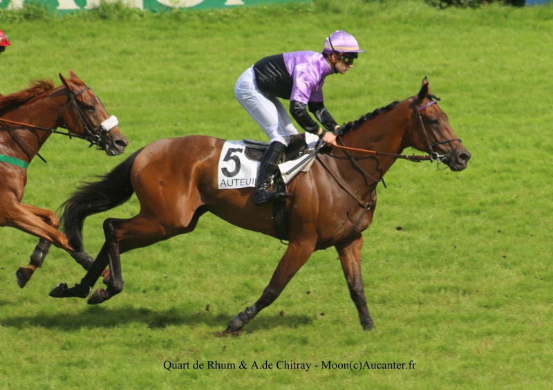 Photos Auteuil 23&27 juin 2016 - Page 2 2869105J6A4551