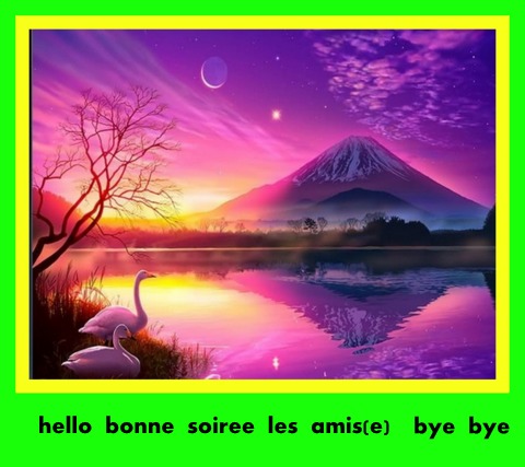 Bon vendredi Ier Mai  289856bonsoircoucherdesoleilioletetcygnesimagesiacomb2clarge