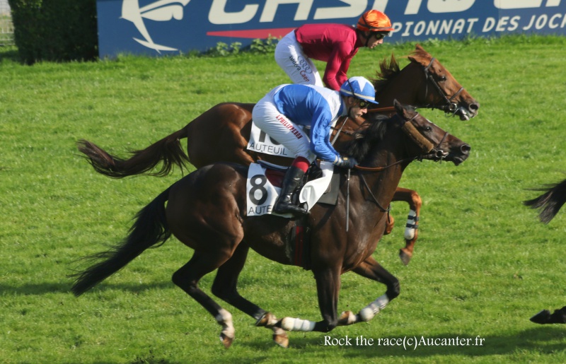 Photos Auteuil 9-10-2016 2898575J6A7890