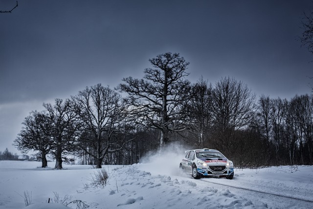  La Peugeot Rally Academy A Lépreuve Du WRC ! 29437054d7c172a5859