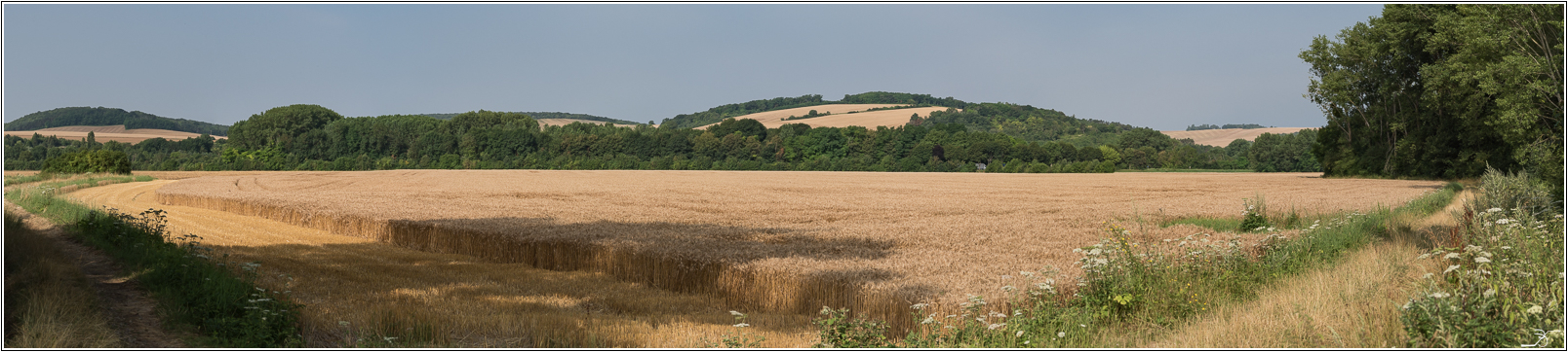 Promenade à Evry (Yonne) 295602LR6P7240047Panorama2