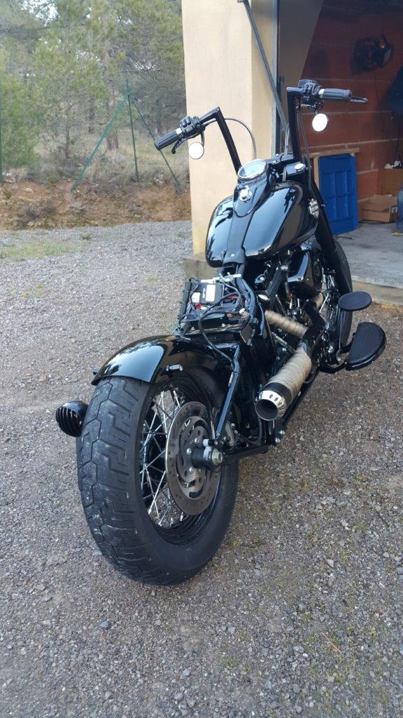 Modifications et radicalisation d'un Softail Slim - Page 3 29713920150224165959