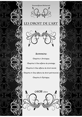 Les droits de l'art 298956463