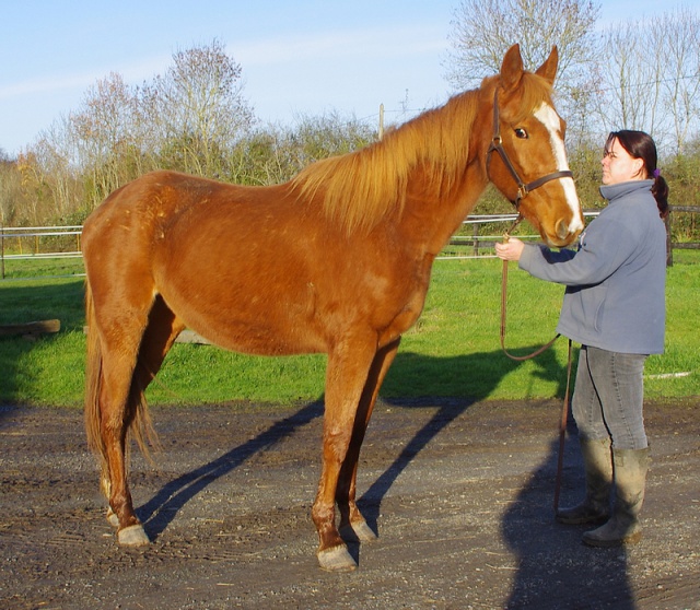 [PLACEE HERVE ] VICKY Belle, douce et gentille, un vrai cadeau du ciel 299943vicky25