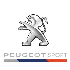 Les Pilotes Peugeot Sport Au Mondial De Paris 30017211140264