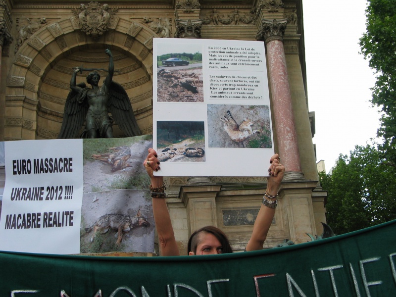 11 - Manifestation contre le massacre des animaux en Ukraine - 9 juin 2012 302006IMG9194