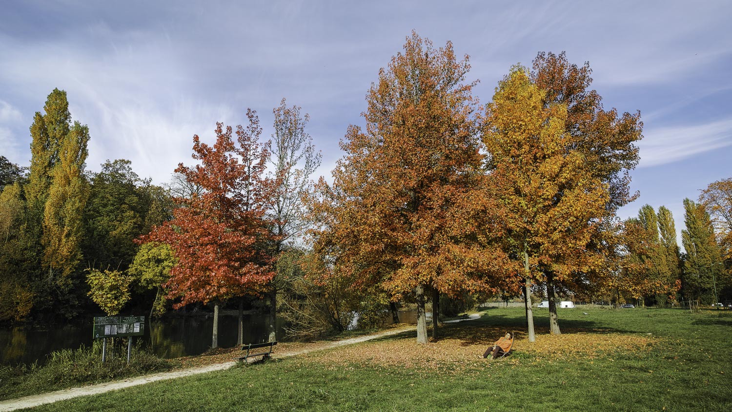 L'automne au bois (suite maj du 18/11) 306219DP0Q5700