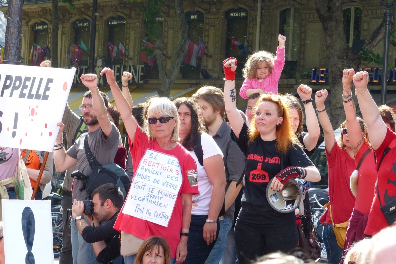 15 - Marche pour la fermeture des abattoirs - Paris - 15 juin 2013  308576P1040317