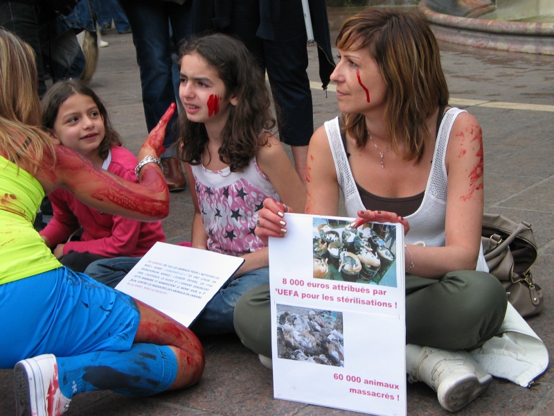 11 - Manifestation contre le massacre des animaux en Ukraine - 9 juin 2012 310441IMG9180