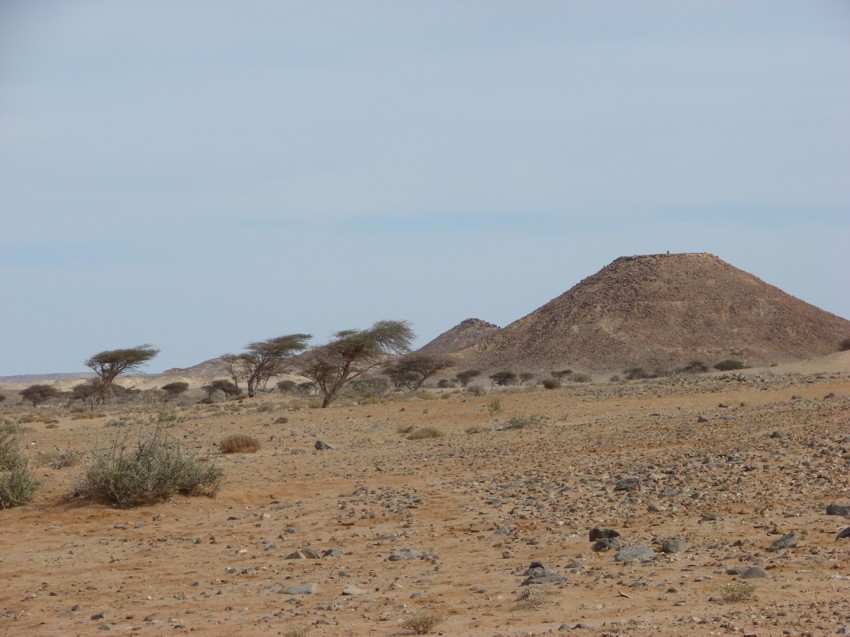 Le Grand Sud du Maroc - II 311556052