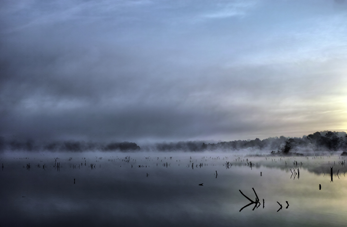 un petit matin. - Page 6 313159SDIM1502CX