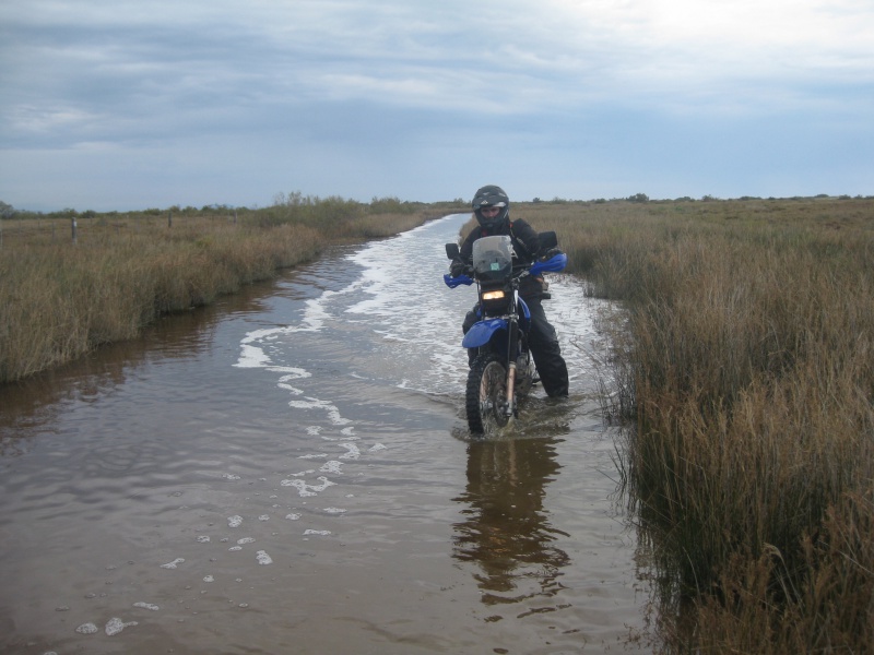 rando - rando trans camarguaise  le 5 octobre  - Page 6 313901piemanson2