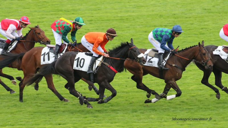 Photos Auteuil 14-05-2016  3153105J6A1098