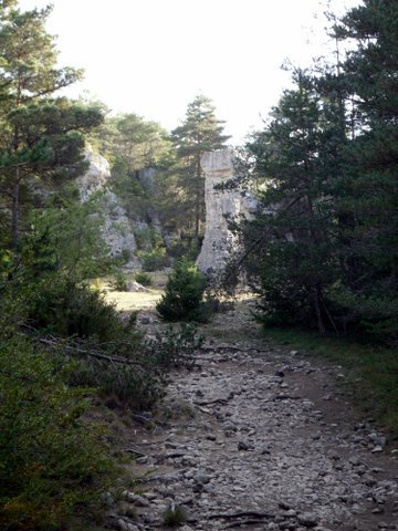 Entre l'Aveyron et la Lozère 317733SDC15446