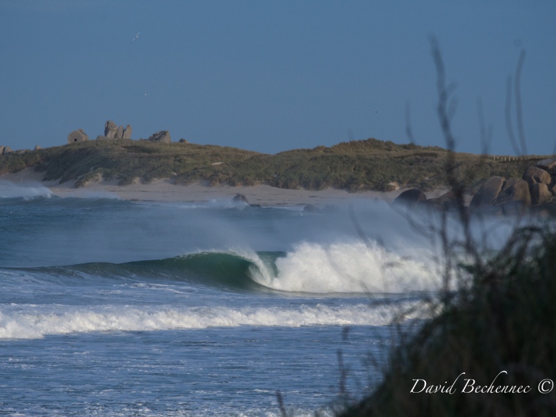 un peu de surf 32016525fvr2014