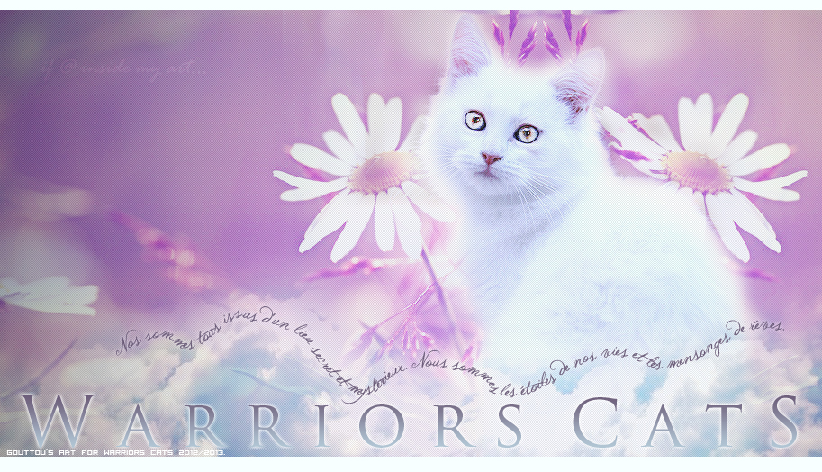 ♔ Warriors Cats ♔ 