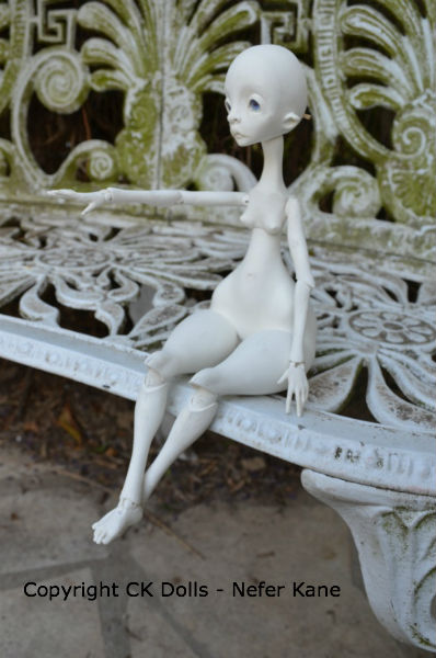 CK DOLLS : Lemur preorder p24 - Page 13 324490Iraassise