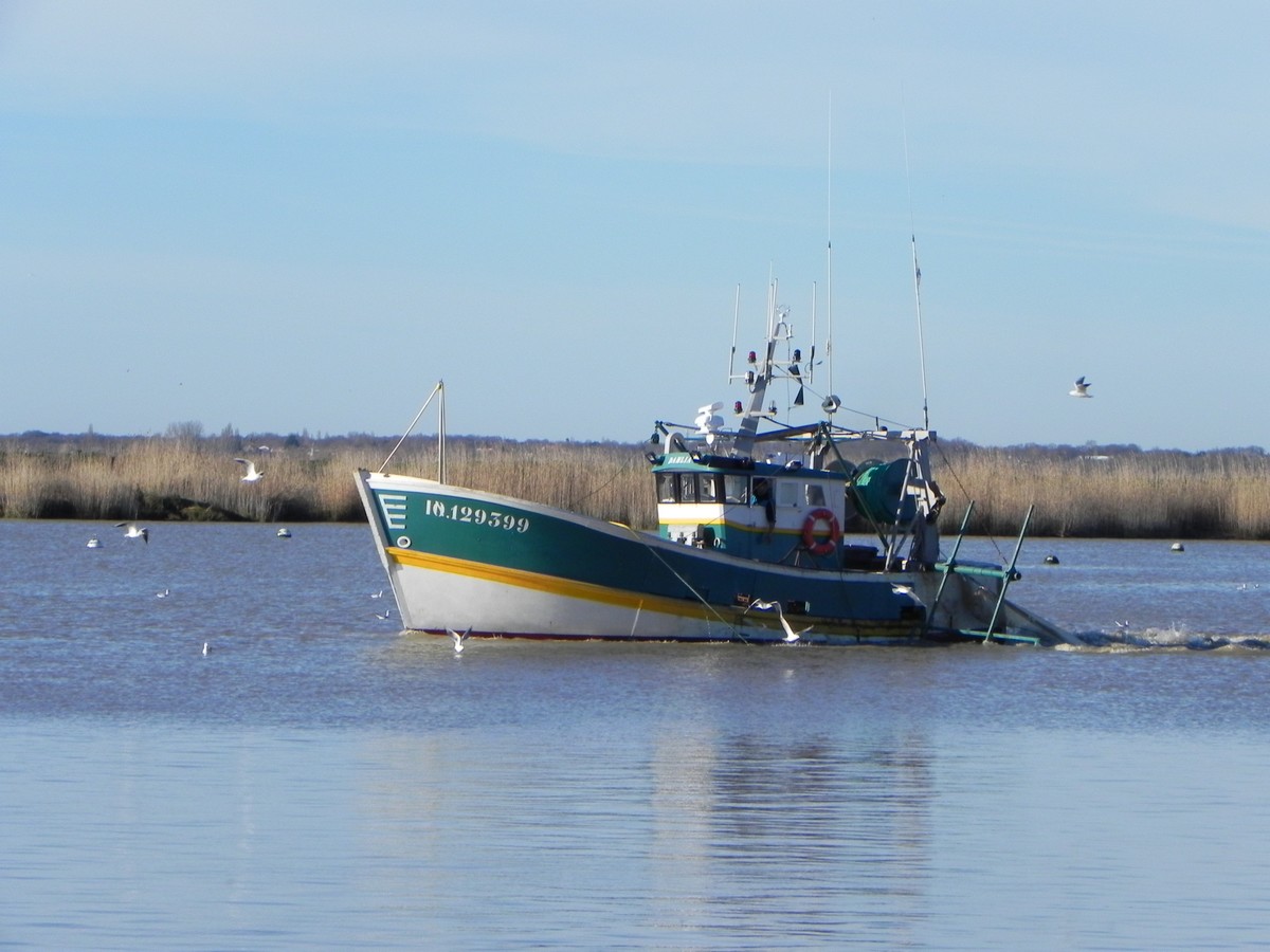 [VIE DES PORTS] Quelques bateaux de pêche (sur nos côtes Françaises) - Page 20 326277BateaupechesurCharente5