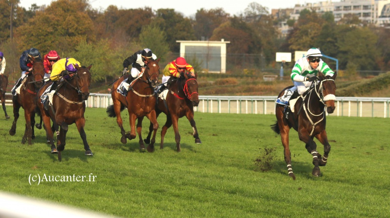 Photos Auteuil 6-11-2016 3266885J6A0521