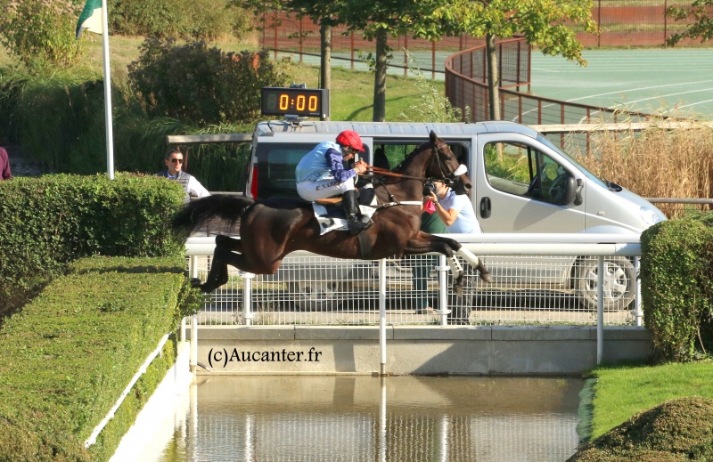 Photos Auteuil 24-09-2016 3276045J6A7220